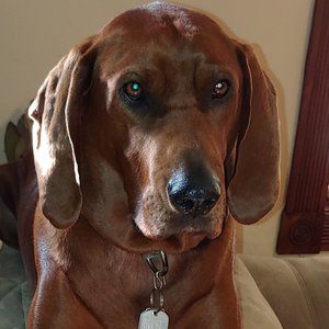 Meet your Posher, Greg